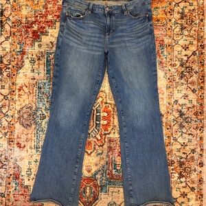 American Eagle Outfitters Blue Flare Jeans